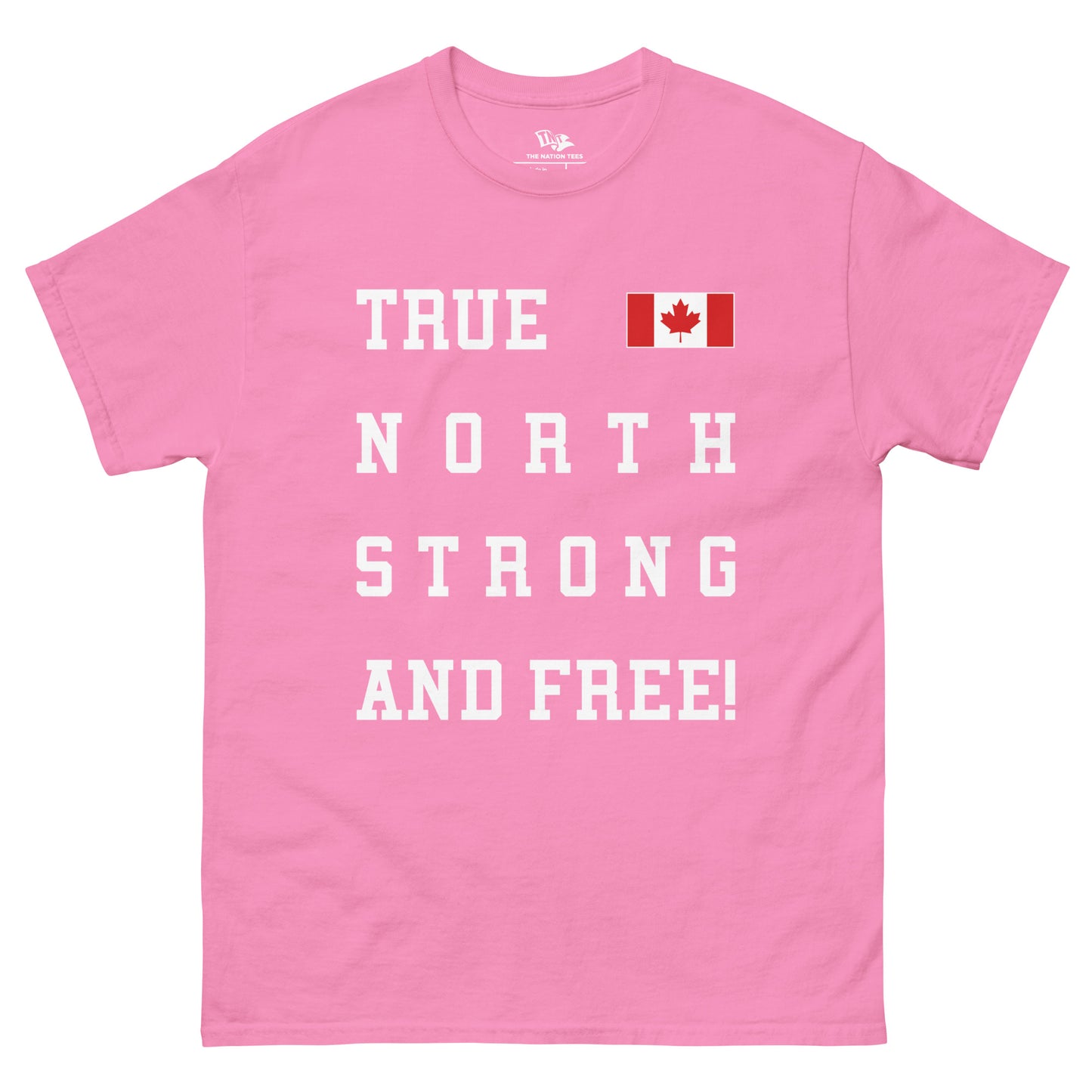 TRUE NORTH