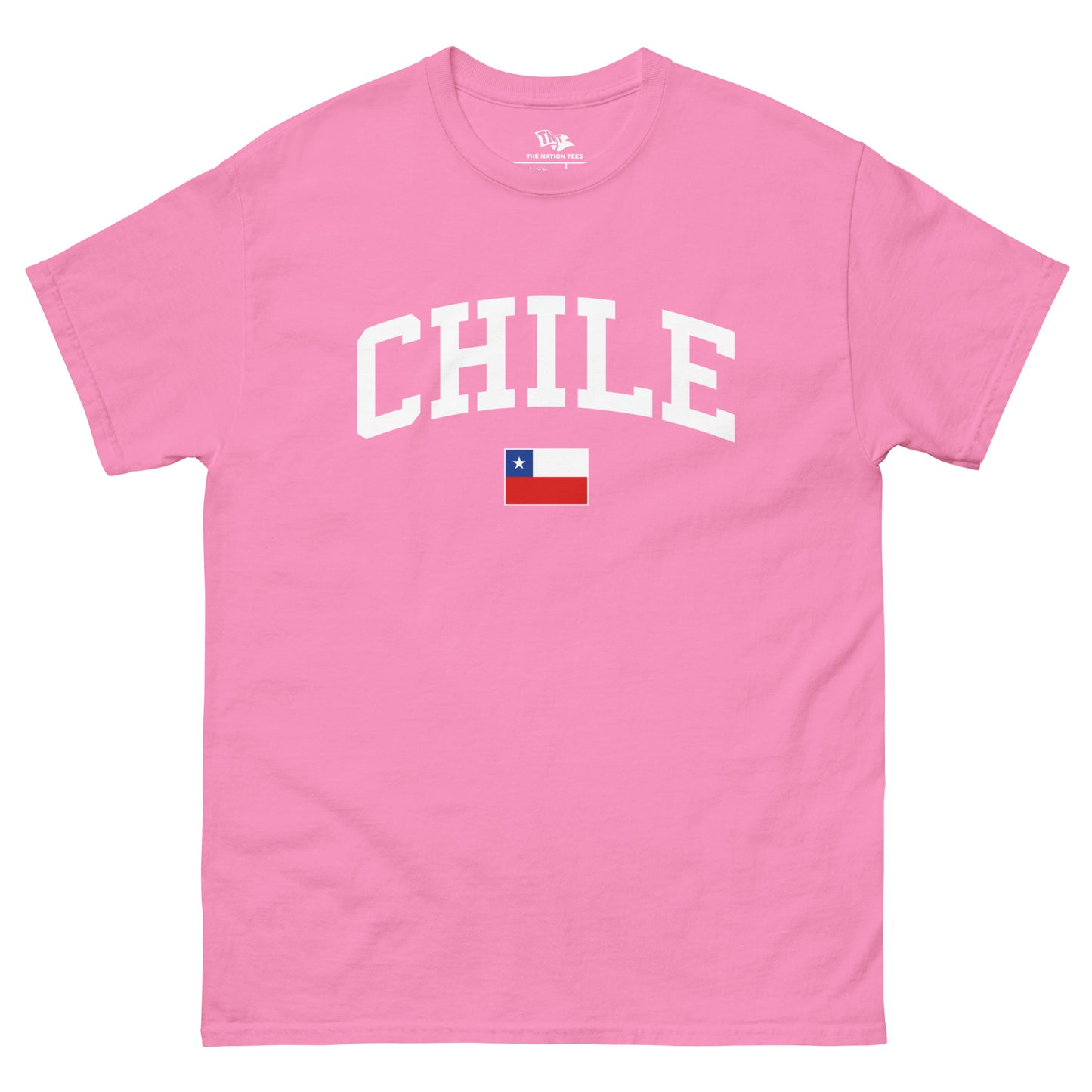 Bandera de CHILE