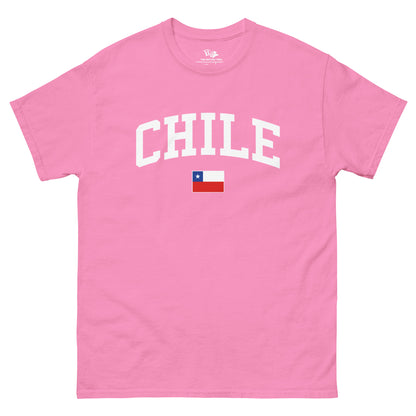 Bandera de CHILE