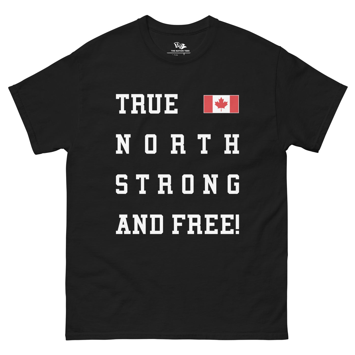 TRUE NORTH t-shirt Black color with the national flag design made of premium cotton ideal for patriotic apparel for Paris 2024 and perfect for showing national pride in euro cup 2024