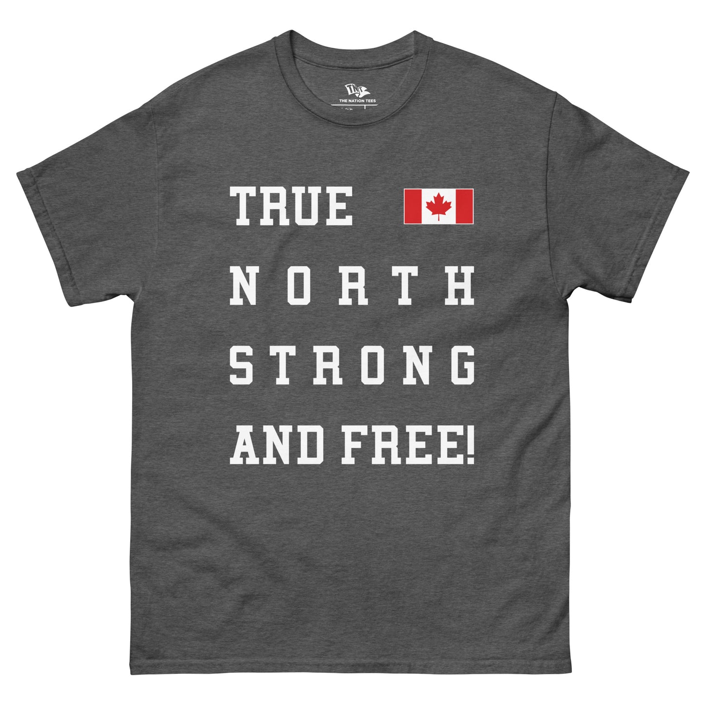 TRUE NORTH