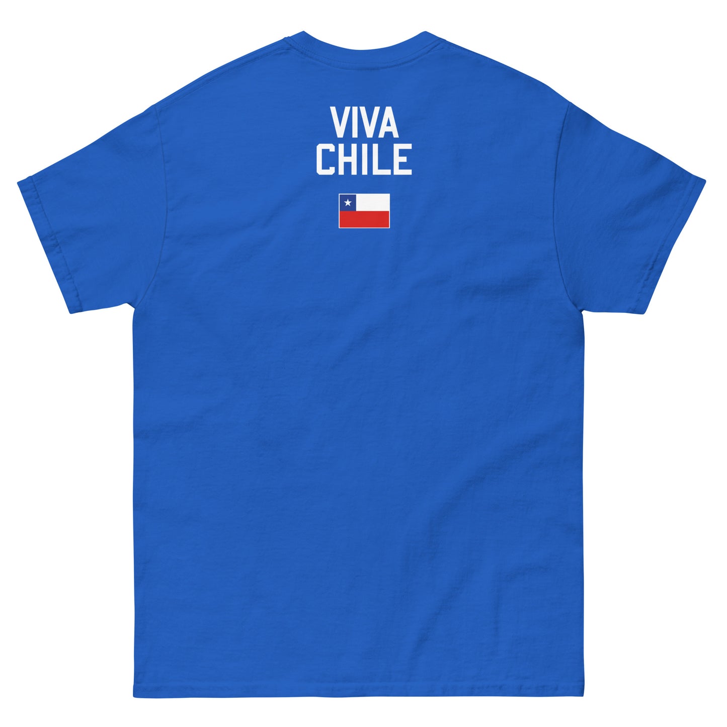 VIVA CHILE