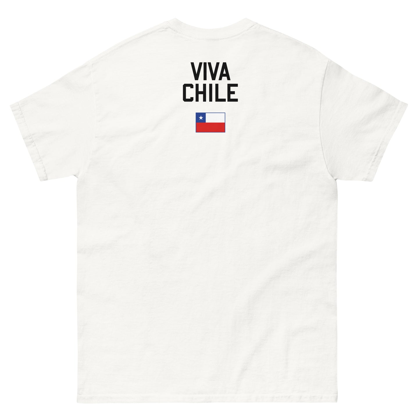 VIVA CHILE