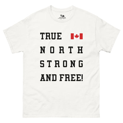 TRUE NORTH