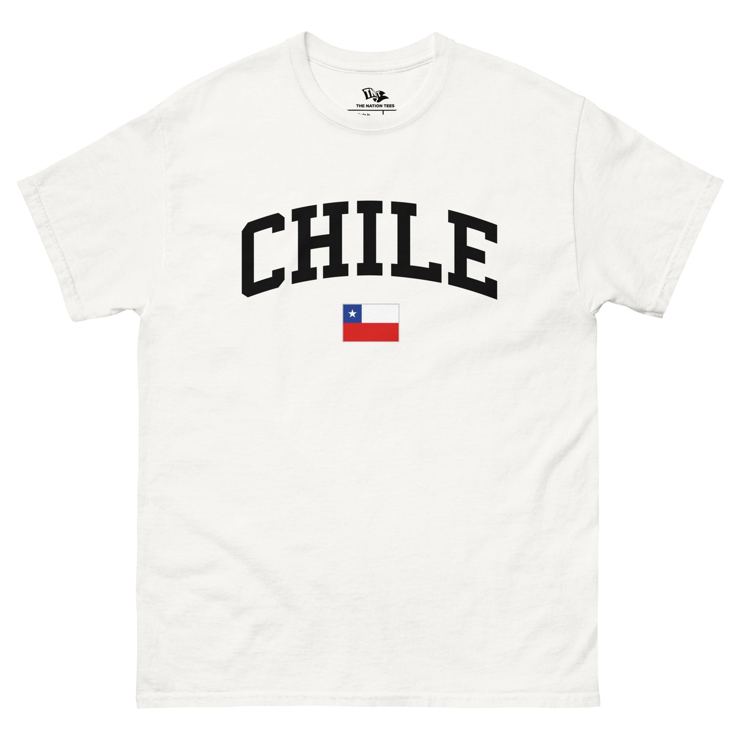 Bandera de CHILE